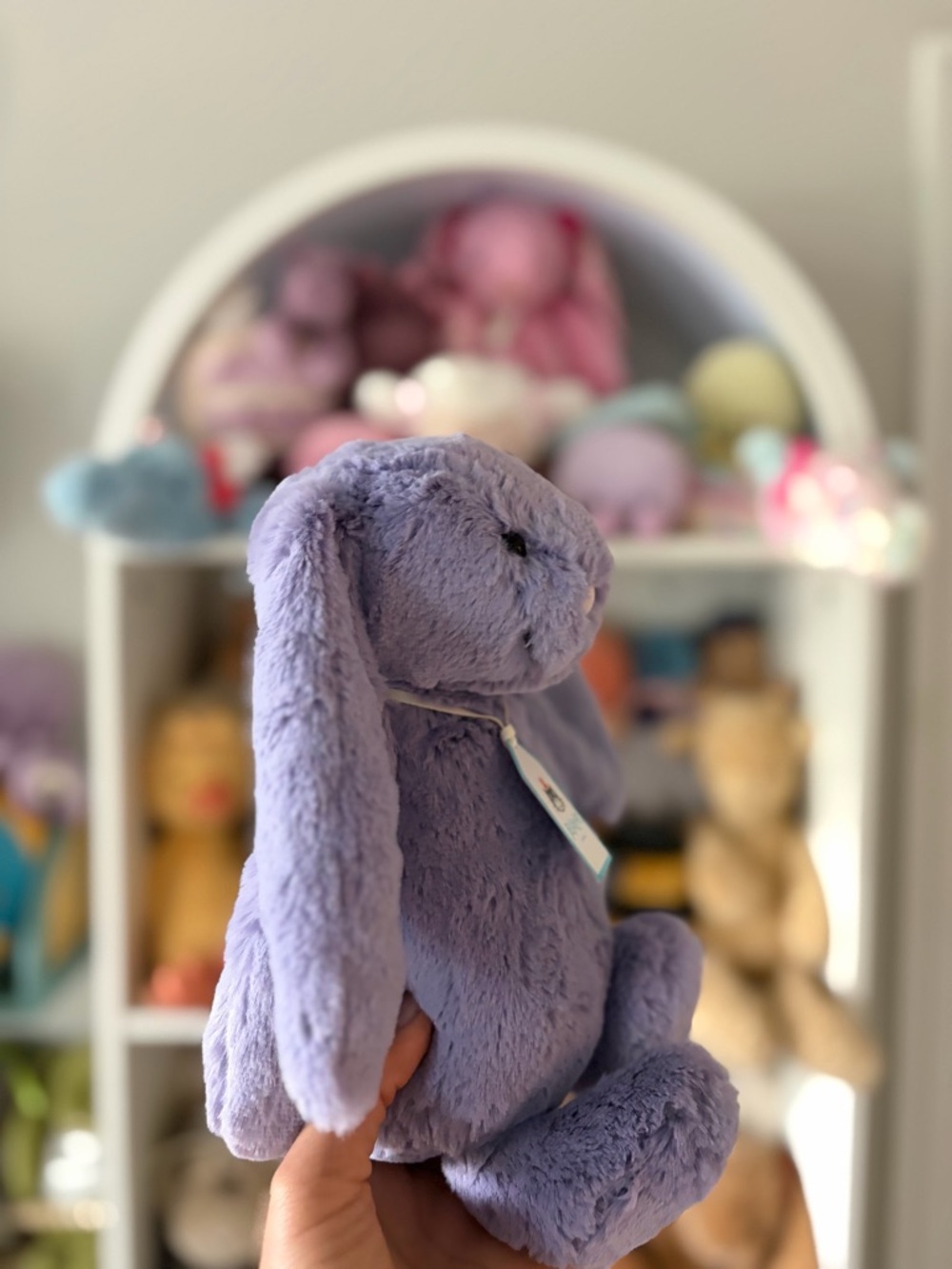 Jellycat Bashful Viola Bunny - Authentic & BNWT! - Picture 2 of 6